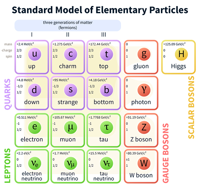 A diagram illustrating the standard model of elementary particles.